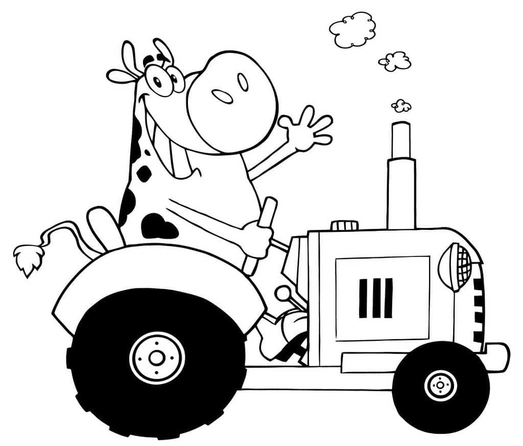 cow driving a tractor