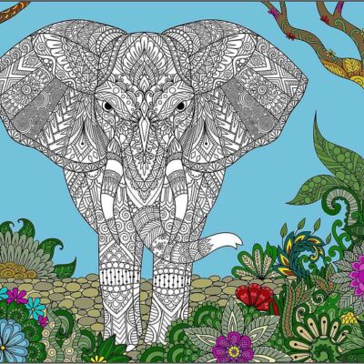 Elephant coloring poster for adults and kids