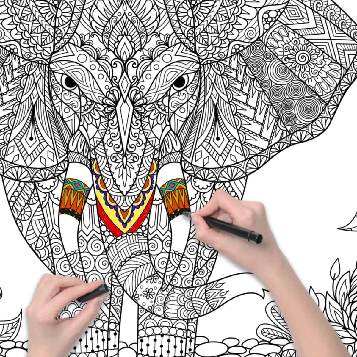 Elephant Coloring Poster - Image 3