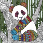 Panda coloring poster for adults and kids - Extra large coloring poster (35x52")